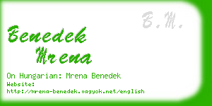 benedek mrena business card